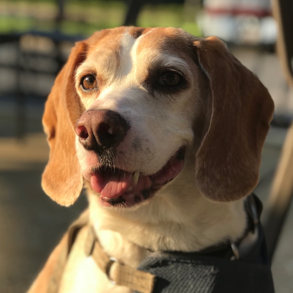 Meet your Posher, Moneus